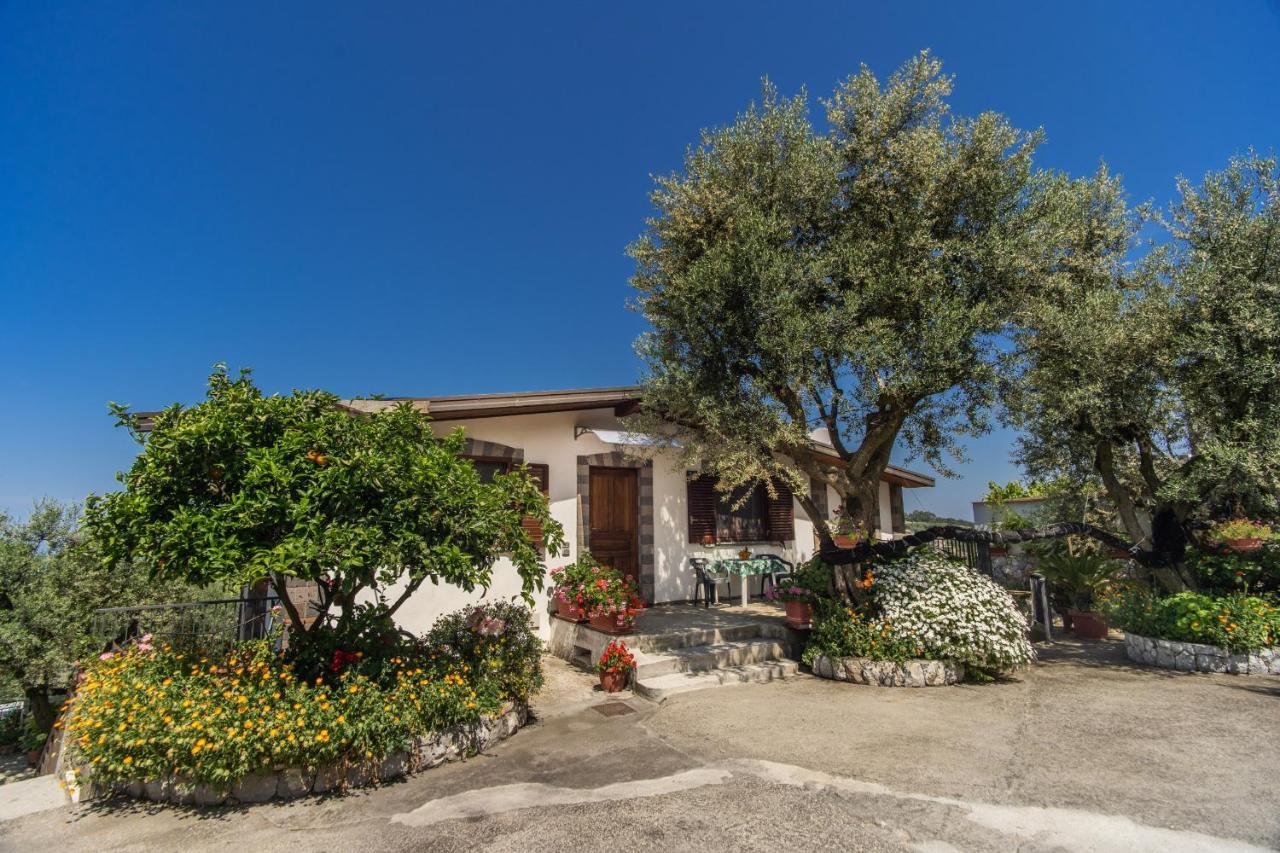 Villa Mattia In The Land Of Sirens サンタガータ・スイ・ドゥエ・ゴルフィ エクステリア 写真
